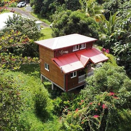 Mahogany Lodge - Oasis Cosy Rivière-Pilote Exteriör bild