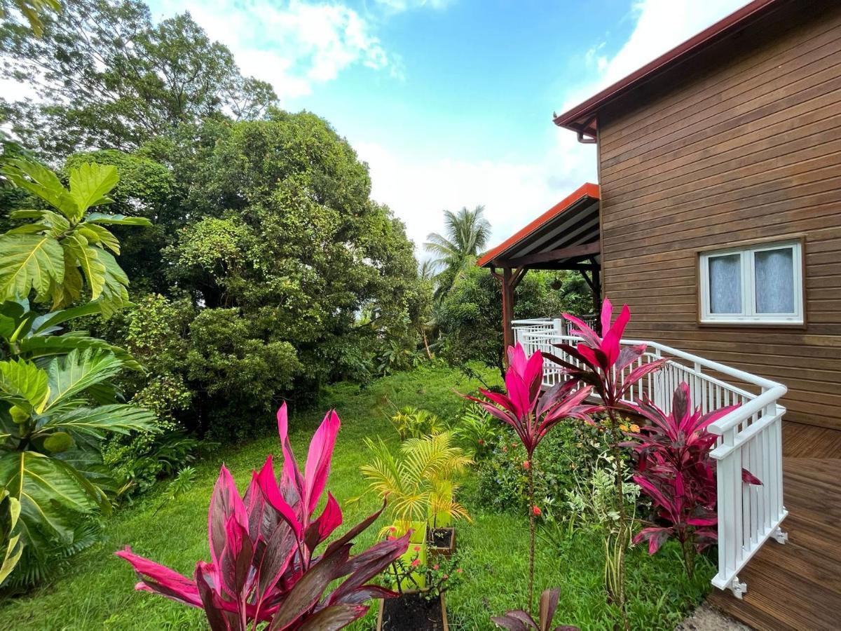 Mahogany Lodge - Oasis Cosy Rivière-Pilote Exteriör bild
