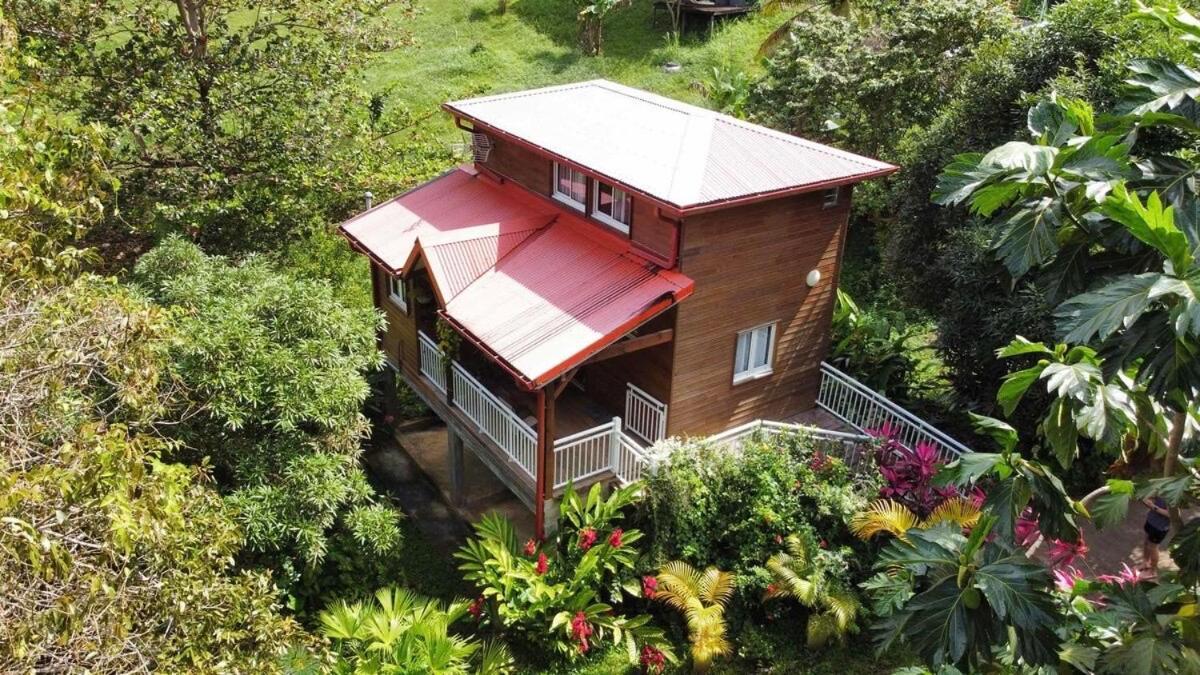 Mahogany Lodge - Oasis Cosy Rivière-Pilote Exteriör bild