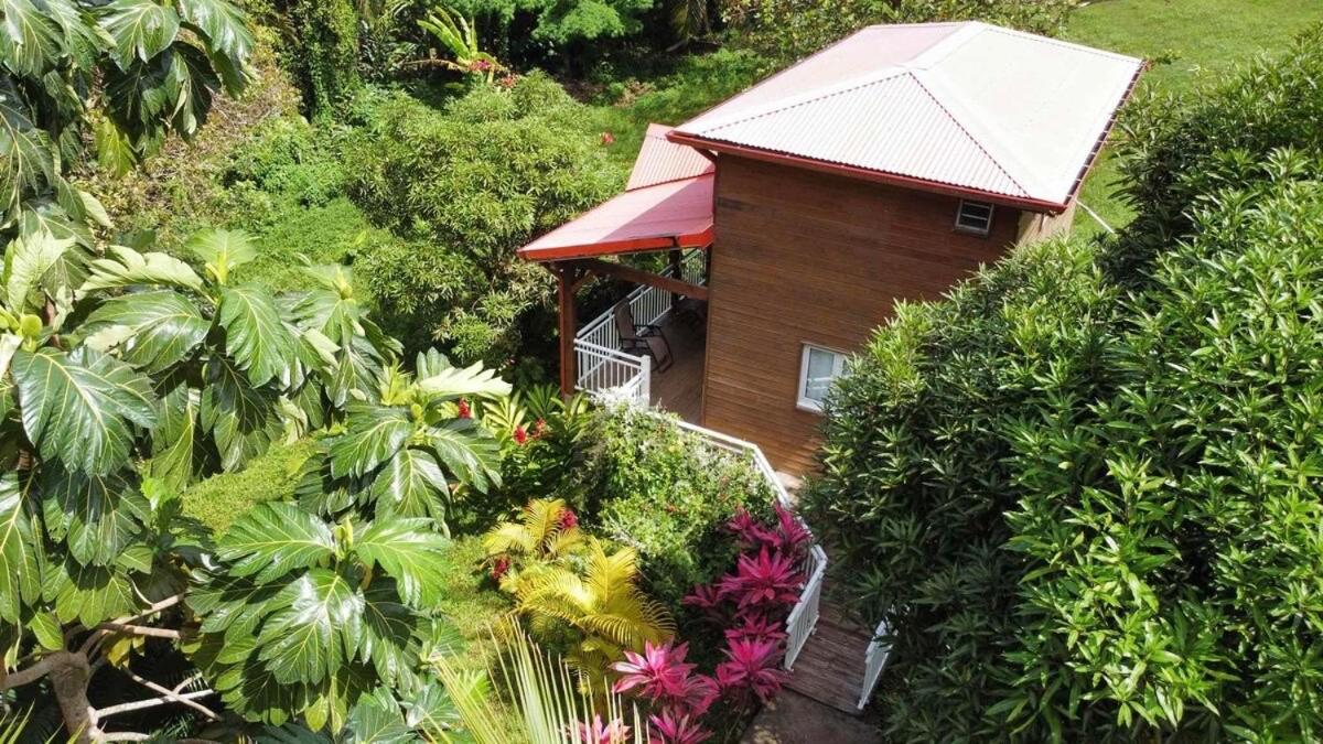 Mahogany Lodge - Oasis Cosy Rivière-Pilote Exteriör bild