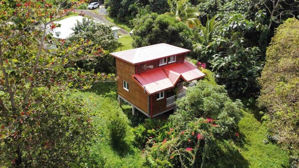 Mahogany Lodge - Oasis Cosy Rivière-Pilote Exteriör bild